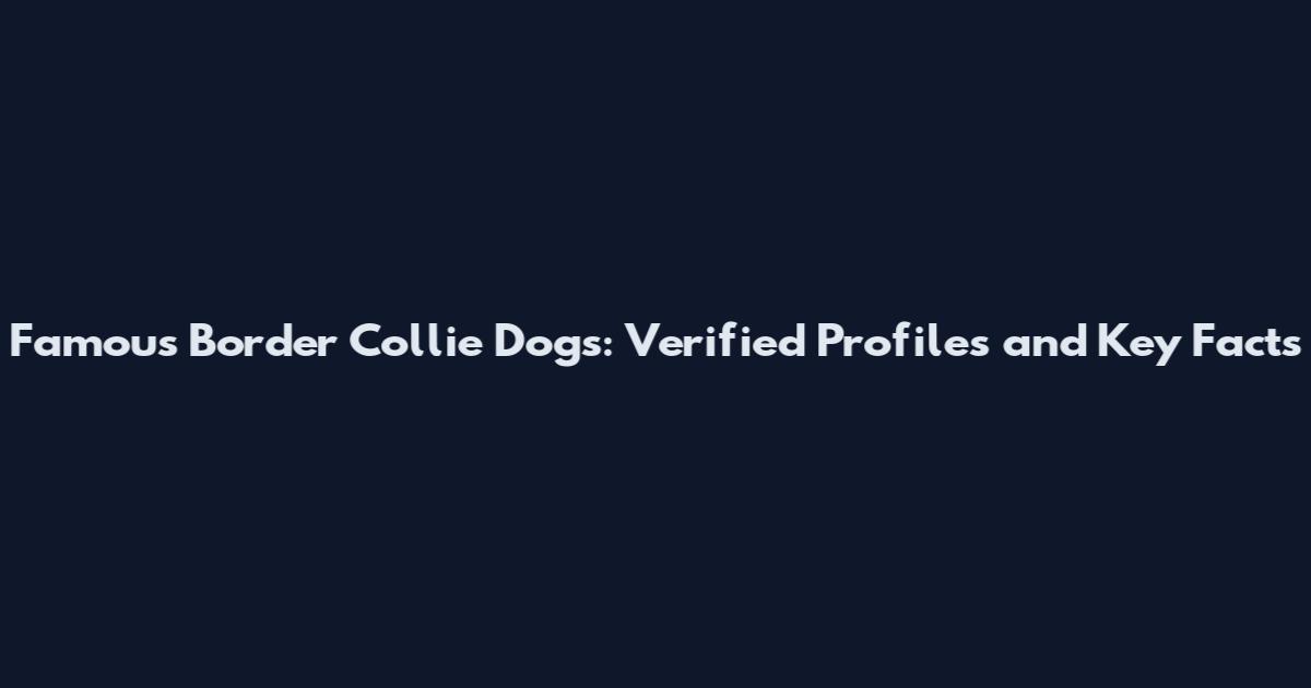 Famous Border Collie Dogs: Verified Profiles and Key Facts