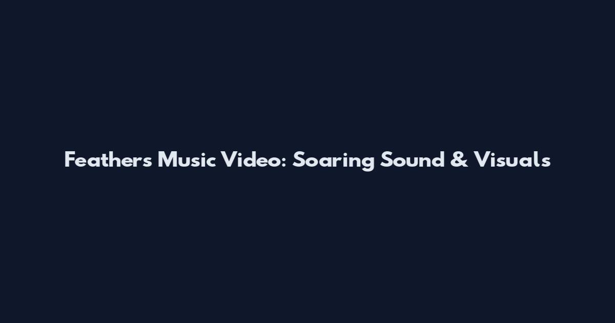Feathers Music Video: Soaring Sound & Visuals