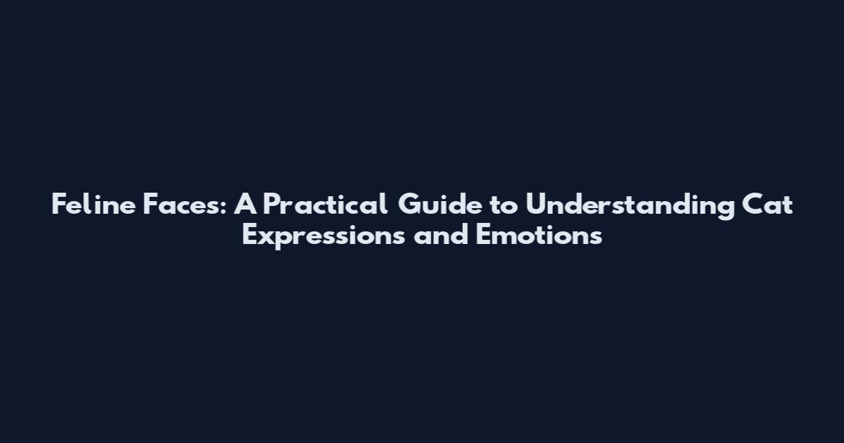 Feline Faces: A Practical Guide to Understanding Cat Expressions and Emotions