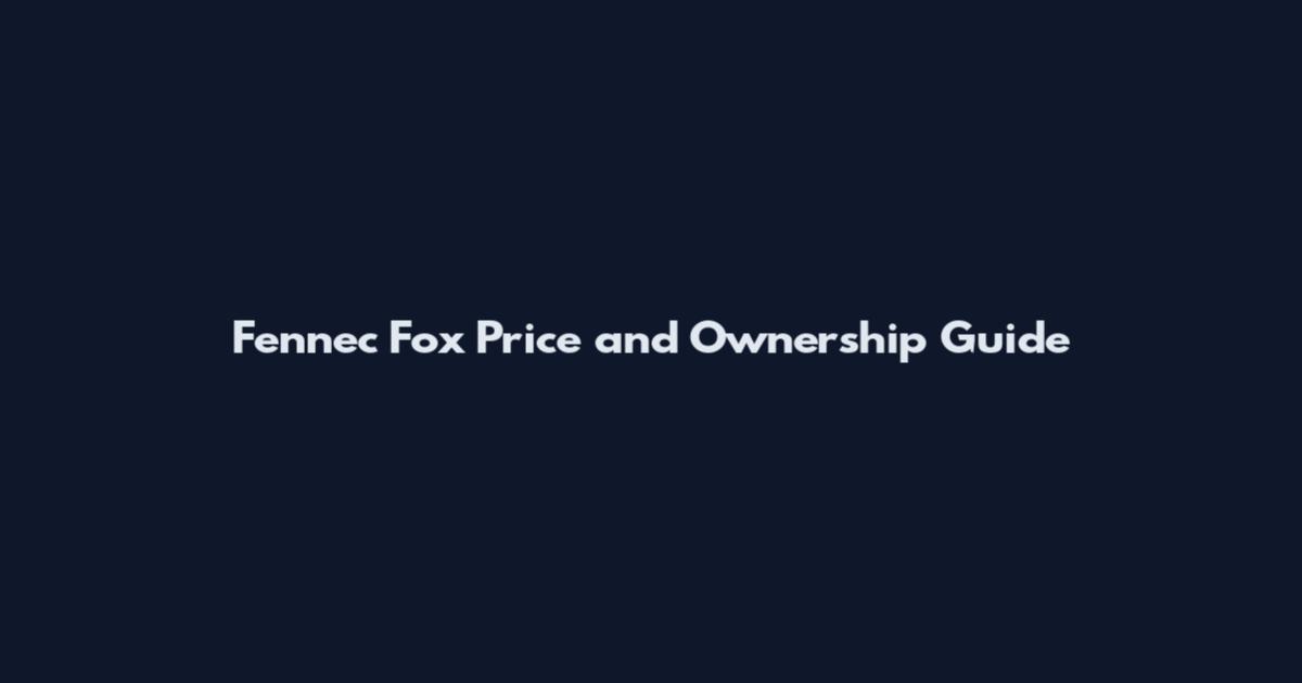 Fennec Fox Price and Ownership Guide