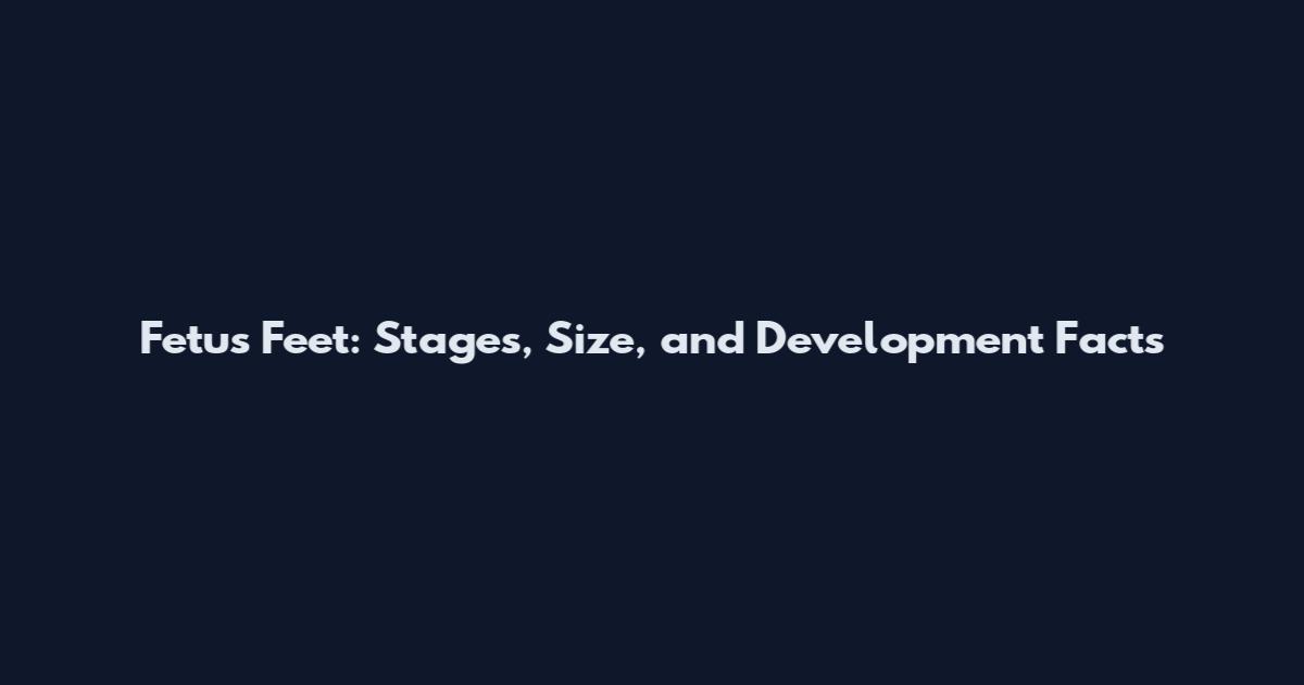 Fetus Feet: Stages, Size, and Development Facts