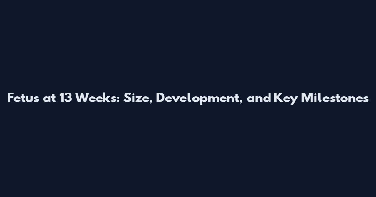 Fetus at 13 Weeks: Size, Development, and Key Milestones
