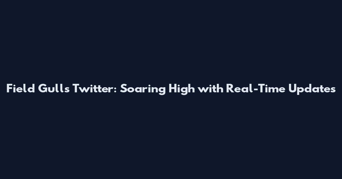 Field Gulls Twitter: Soaring High with Real-Time Updates