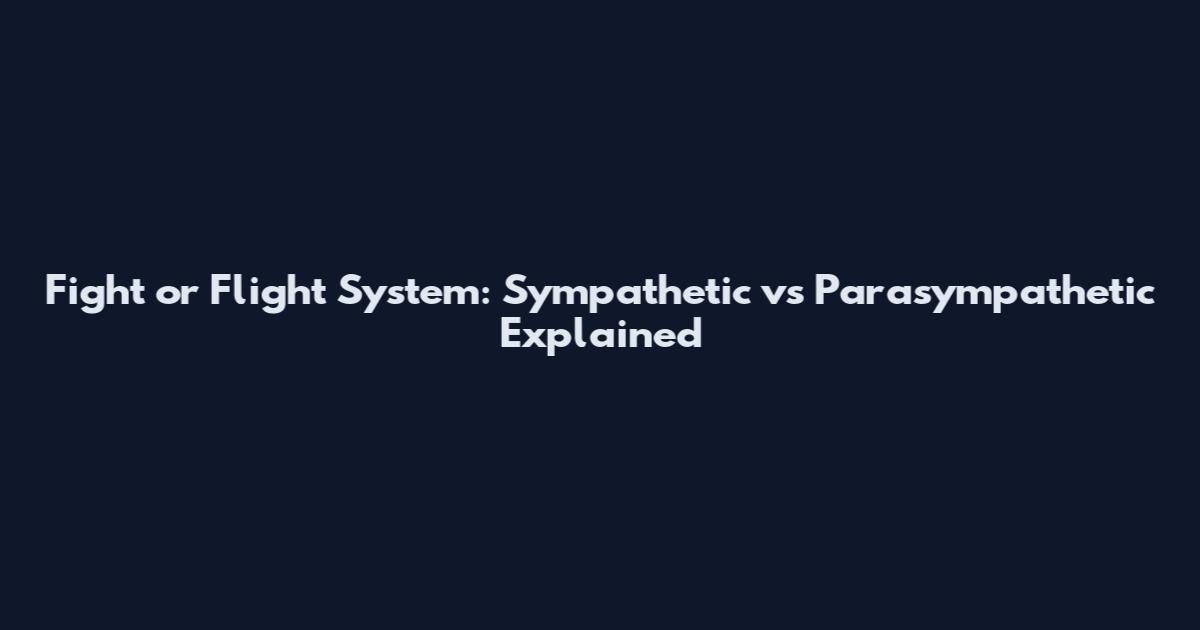 Fight or Flight System: Sympathetic vs Parasympathetic Explained