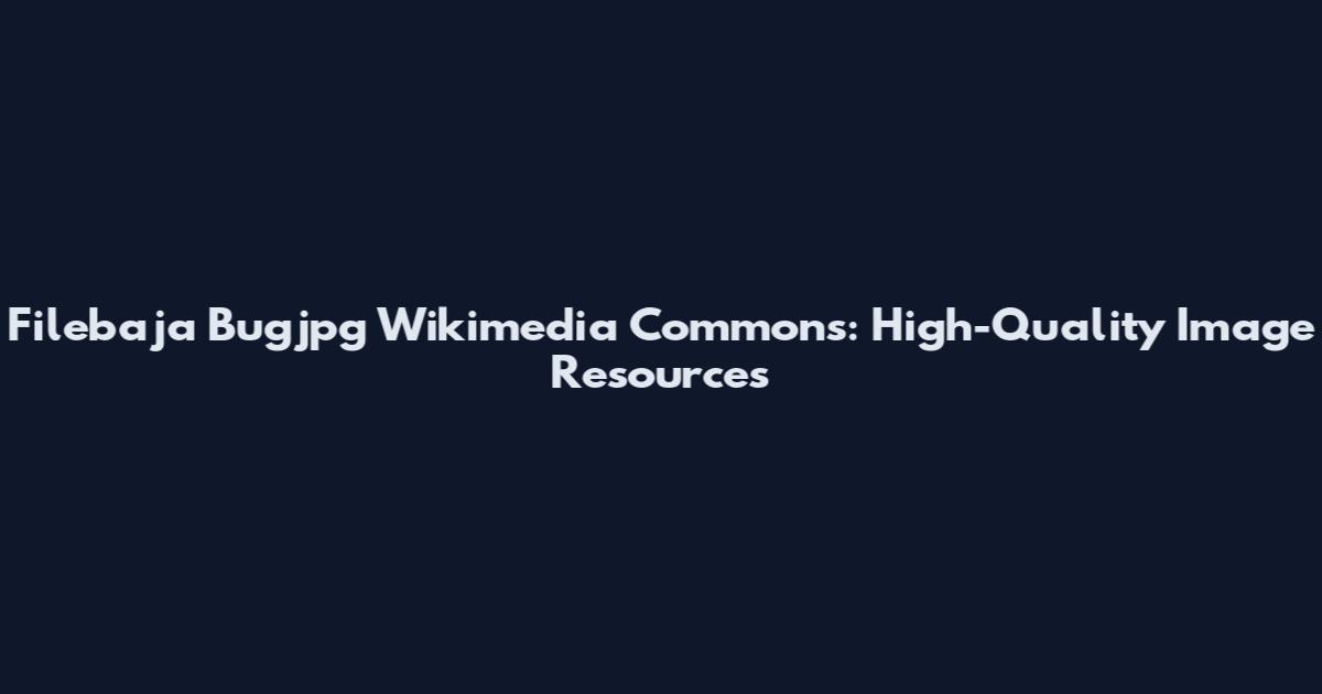 Filebaja Bugjpg Wikimedia Commons: High-Quality Image Resources