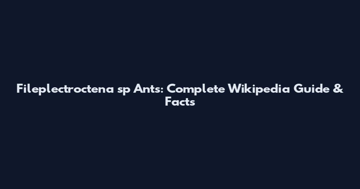 Fileplectroctena sp Ants: Complete Wikipedia Guide & Facts