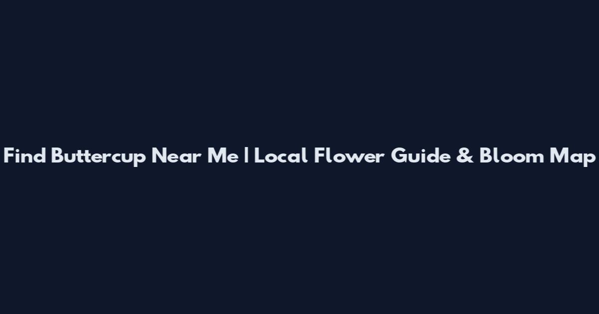 Find Buttercup Near Me | Local Flower Guide & Bloom Map