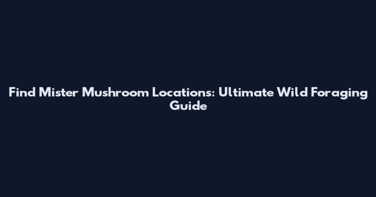 Find Mister Mushroom Locations: Ultimate Wild Foraging Guide