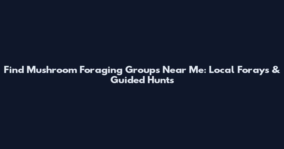 Find Mushroom Foraging Groups Near Me: Local Forays & Guided Hunts