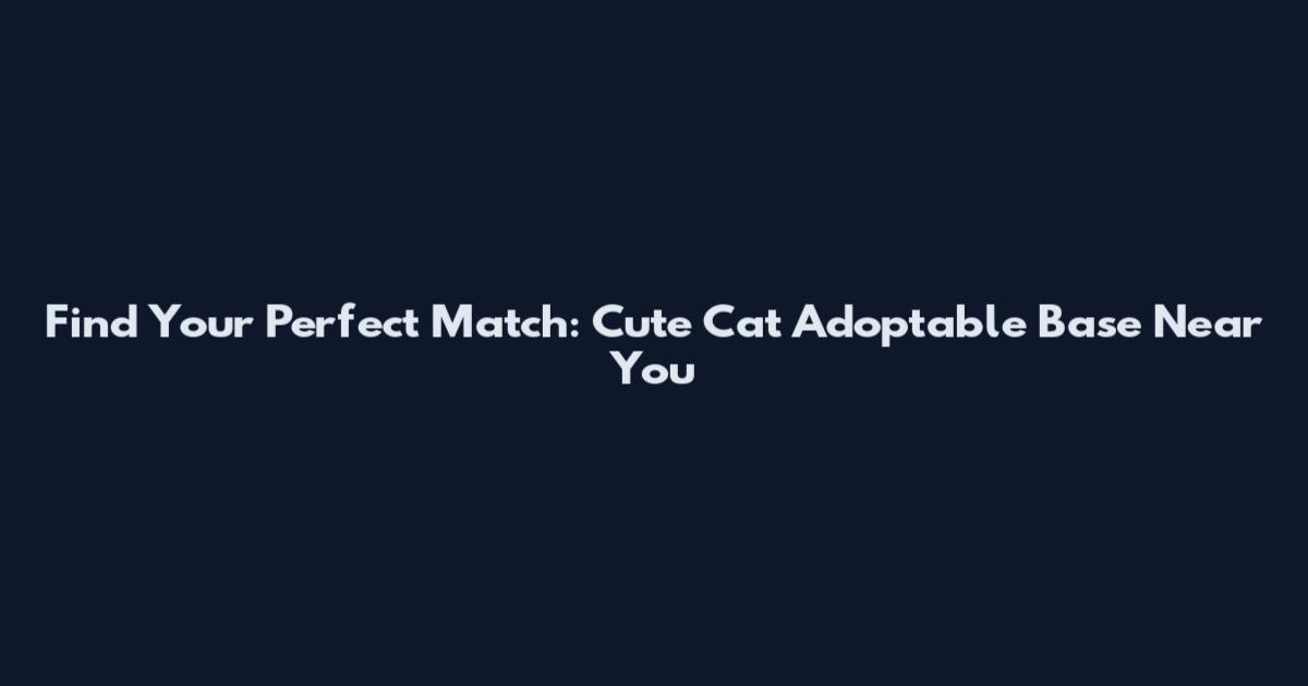 Find Your Perfect Match: Cute Cat Adoptable Base Near You