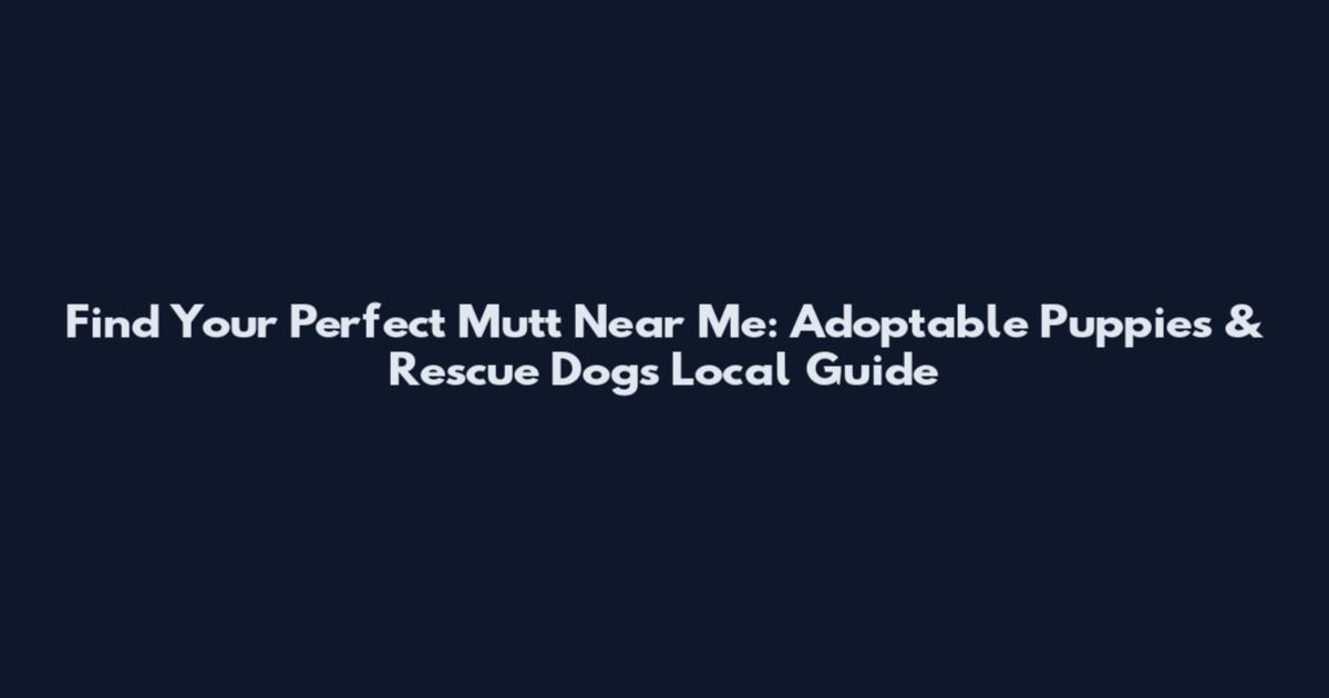 Find Your Perfect Mutt Near Me: Adoptable Puppies & Rescue Dogs Local Guide