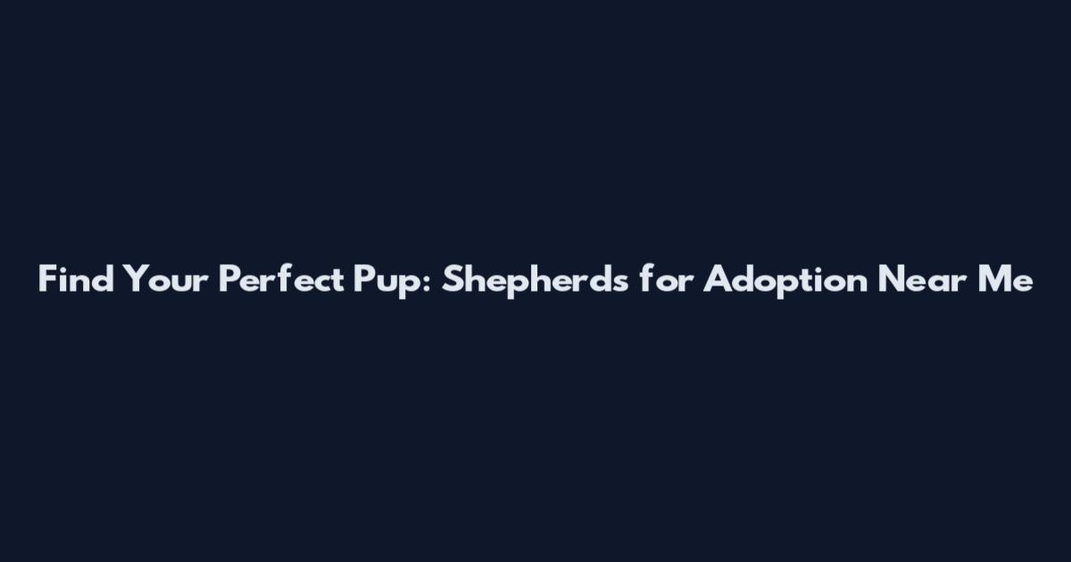Find Your Perfect Pup: Shepherds for Adoption Near Me