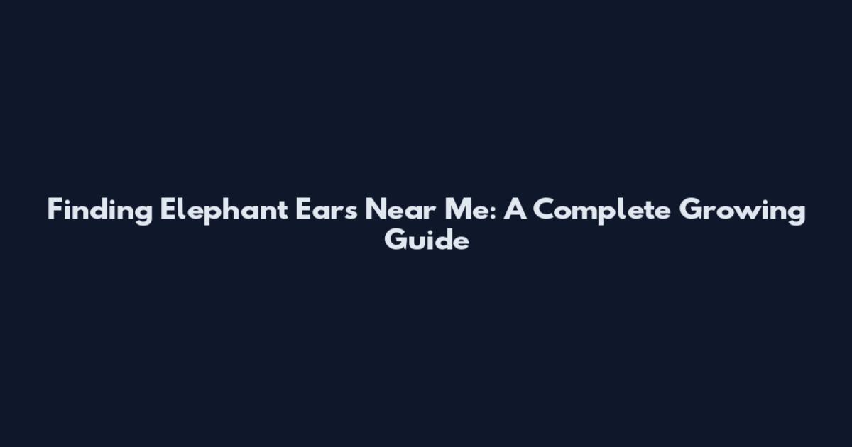 Finding Elephant Ears Near Me: A Complete Growing Guide