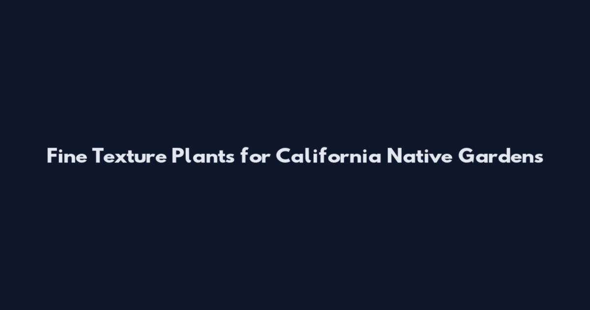 Fine Texture Plants for California Native Gardens