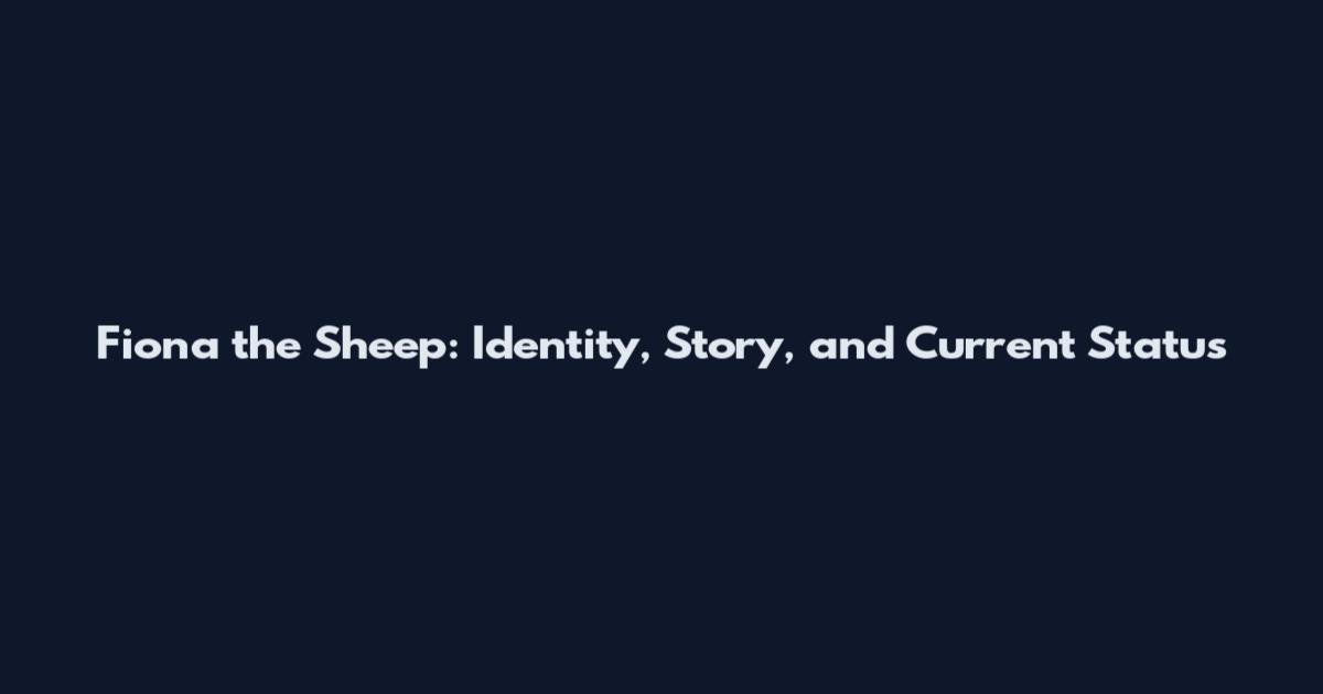 Fiona the Sheep: Identity, Story, and Current Status