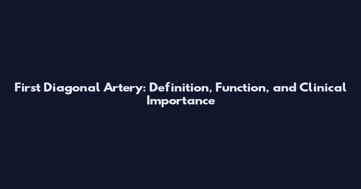First Diagonal Artery: Definition, Function, and Clinical Importance