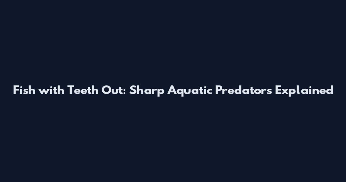 Fish with Teeth Out: Sharp Aquatic Predators Explained