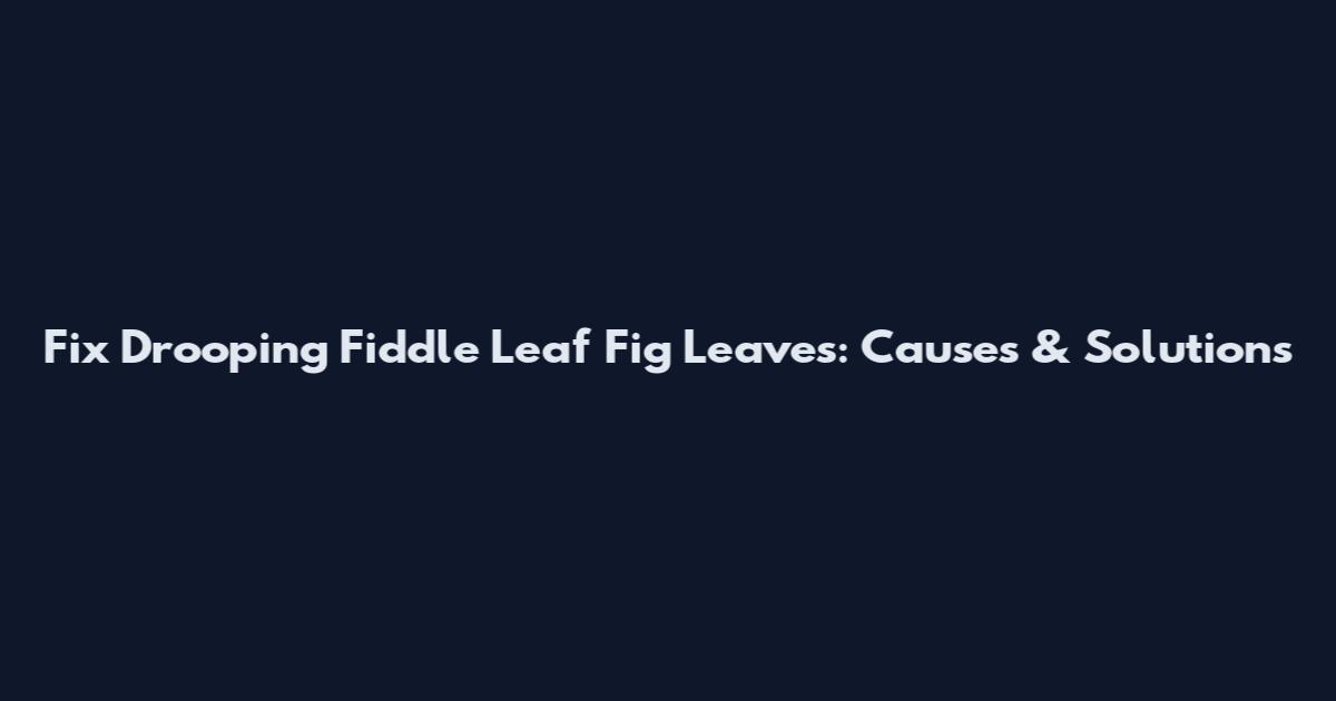 Fix Drooping Fiddle Leaf Fig Leaves: Causes & Solutions