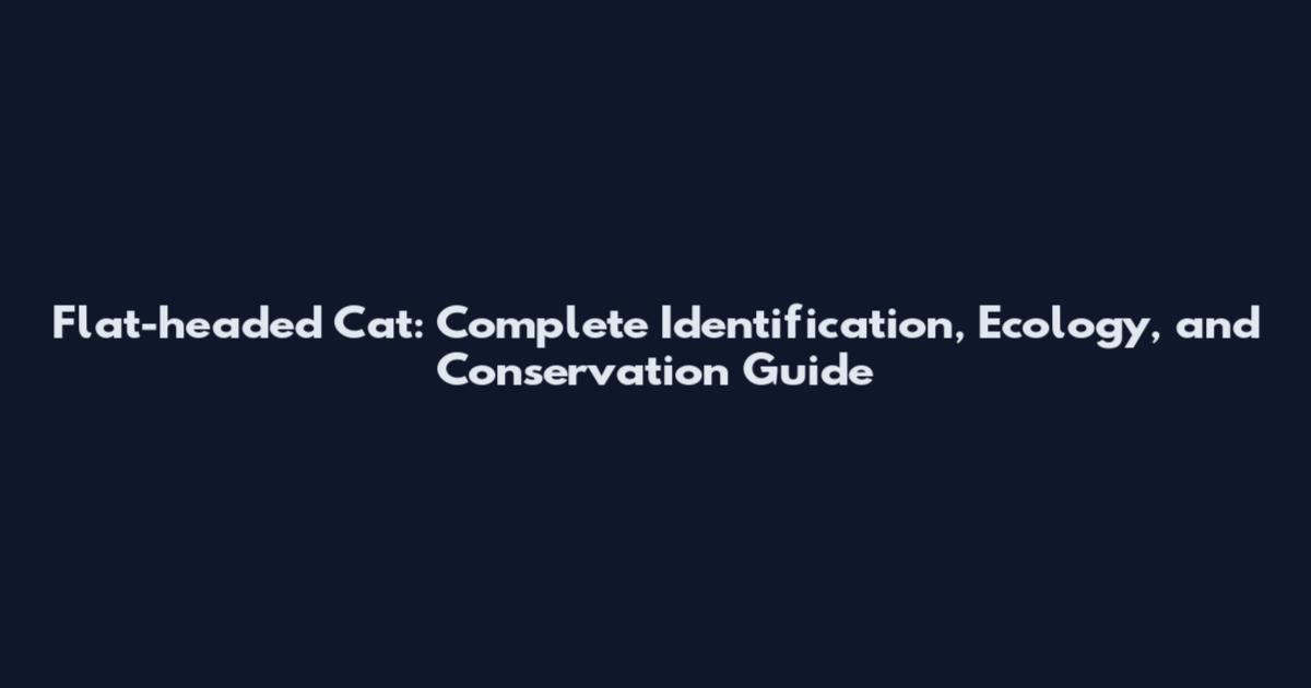 Flat-headed Cat: Complete Identification, Ecology, and Conservation Guide