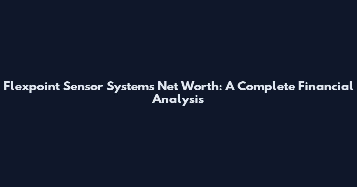 Flexpoint Sensor Systems Net Worth: A Complete Financial Analysis