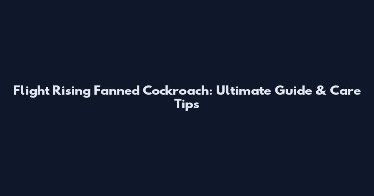 Flight Rising Fanned Cockroach: Ultimate Guide & Care Tips
