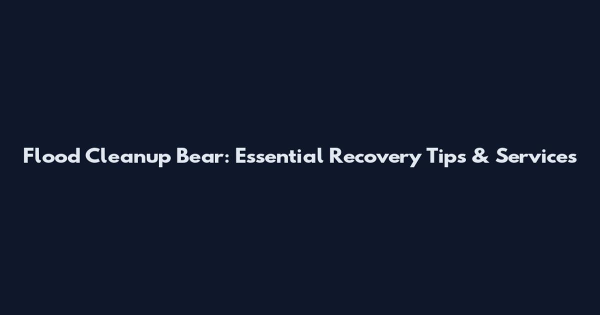 Flood Cleanup Bear: Essential Recovery Tips & Services