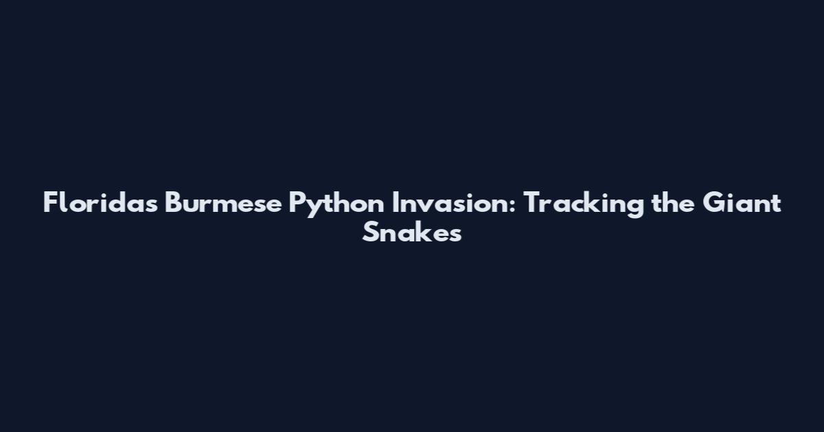 Florida's Burmese Python Invasion: Tracking the Giant Snakes