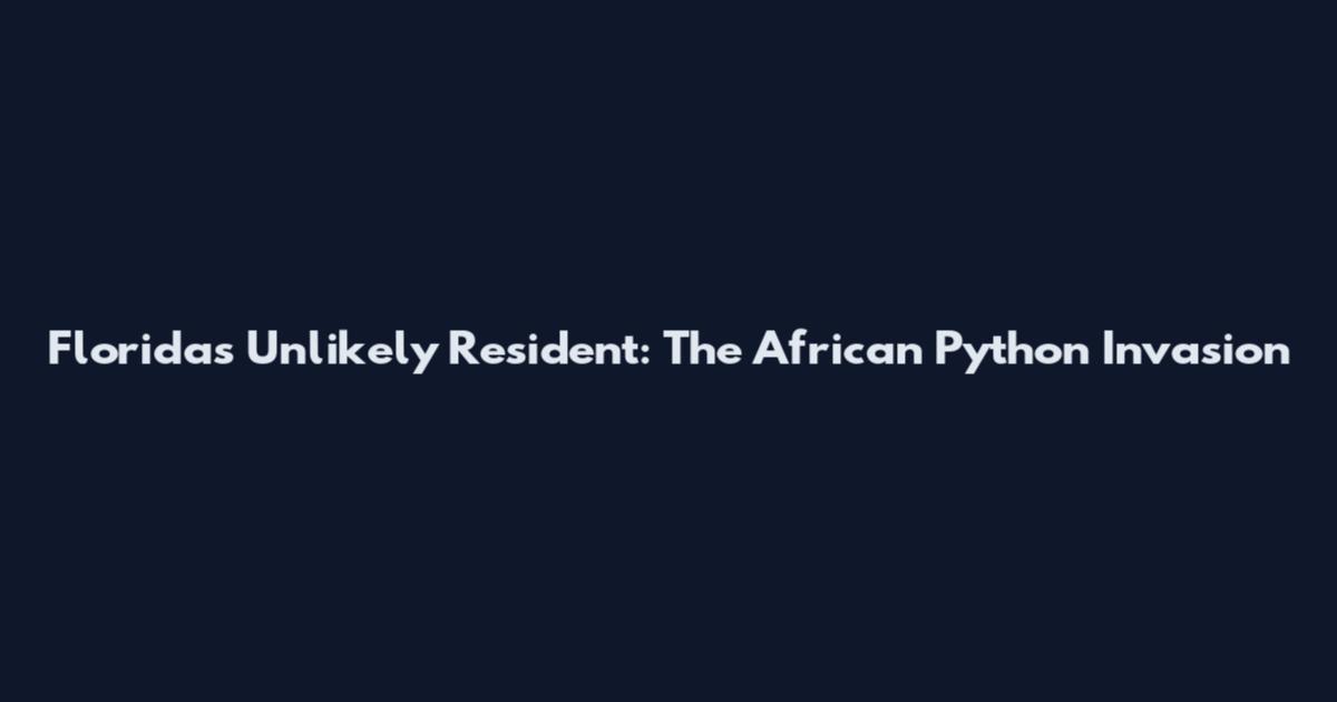 Florida's Unlikely Resident: The African Python Invasion