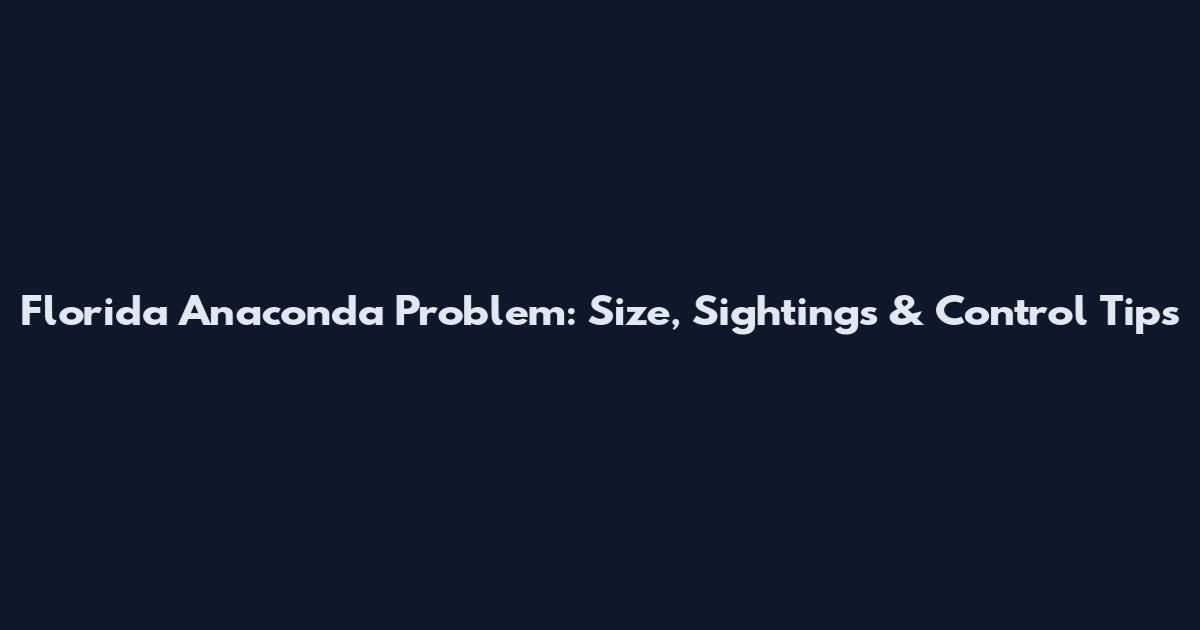 Florida Anaconda Problem: Size, Sightings & Control Tips