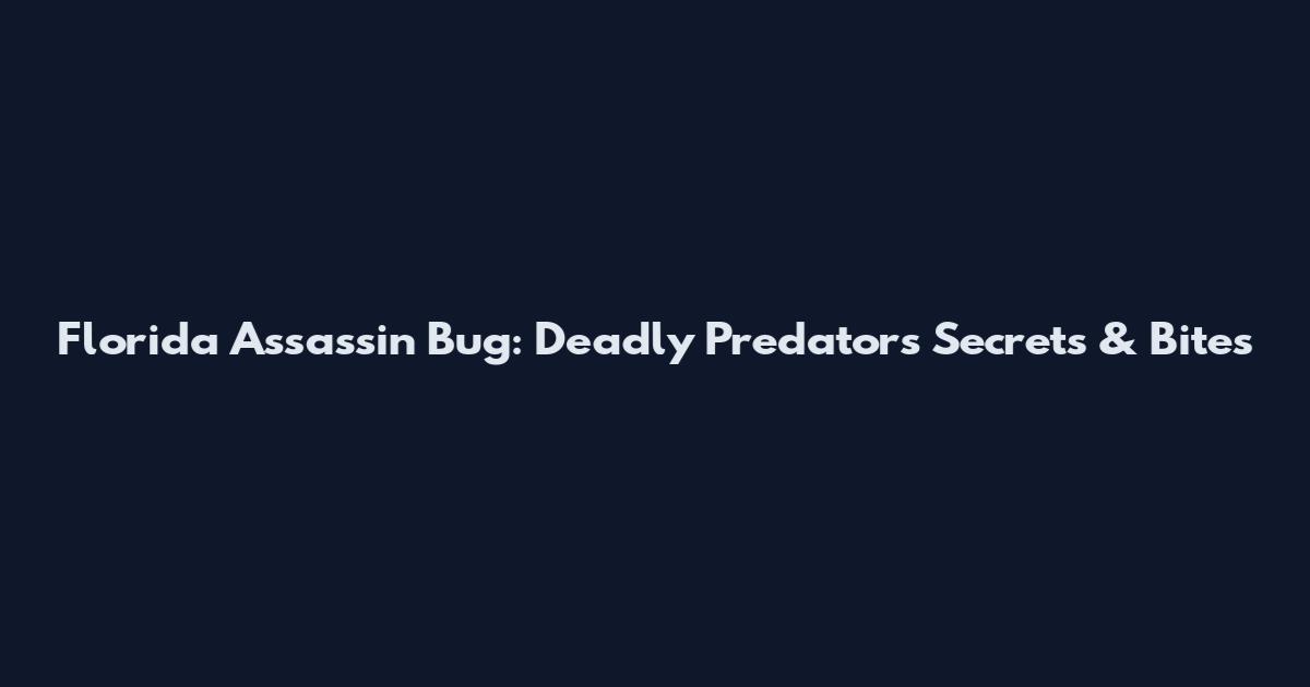 Florida Assassin Bug: Deadly Predator's Secrets & Bites