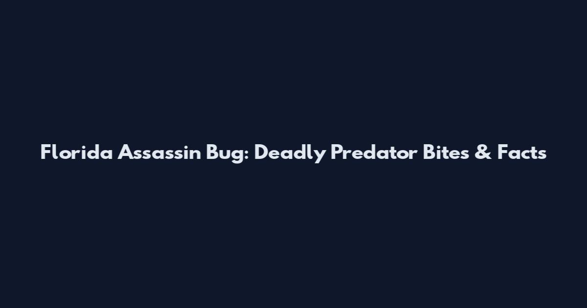 Florida Assassin Bug: Deadly Predator Bites & Facts