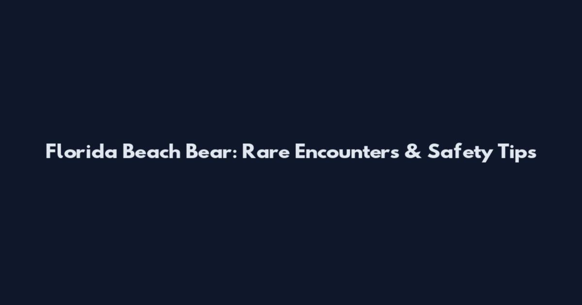 Florida Beach Bear: Rare Encounters & Safety Tips