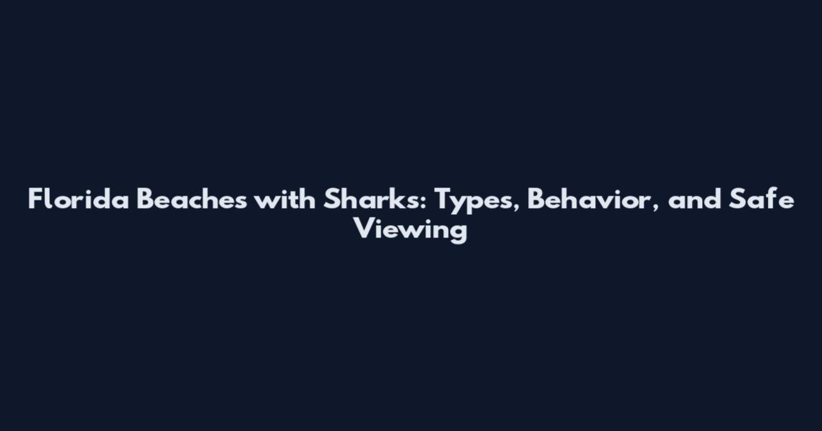 Florida Beaches with Sharks: Types, Behavior, and Safe Viewing