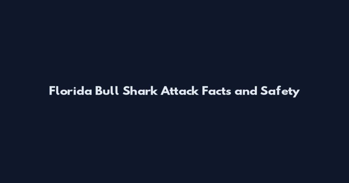 Florida Bull Shark Attack Facts and Safety