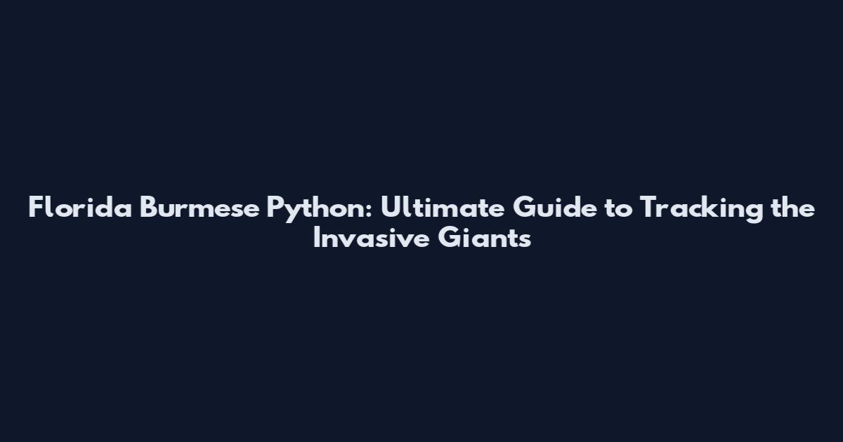 Florida Burmese Python: Ultimate Guide to Tracking the Invasive Giants