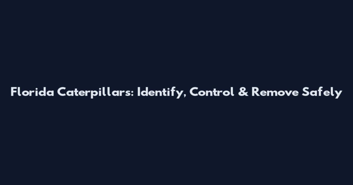 Florida Caterpillars: Identify, Control & Remove Safely
