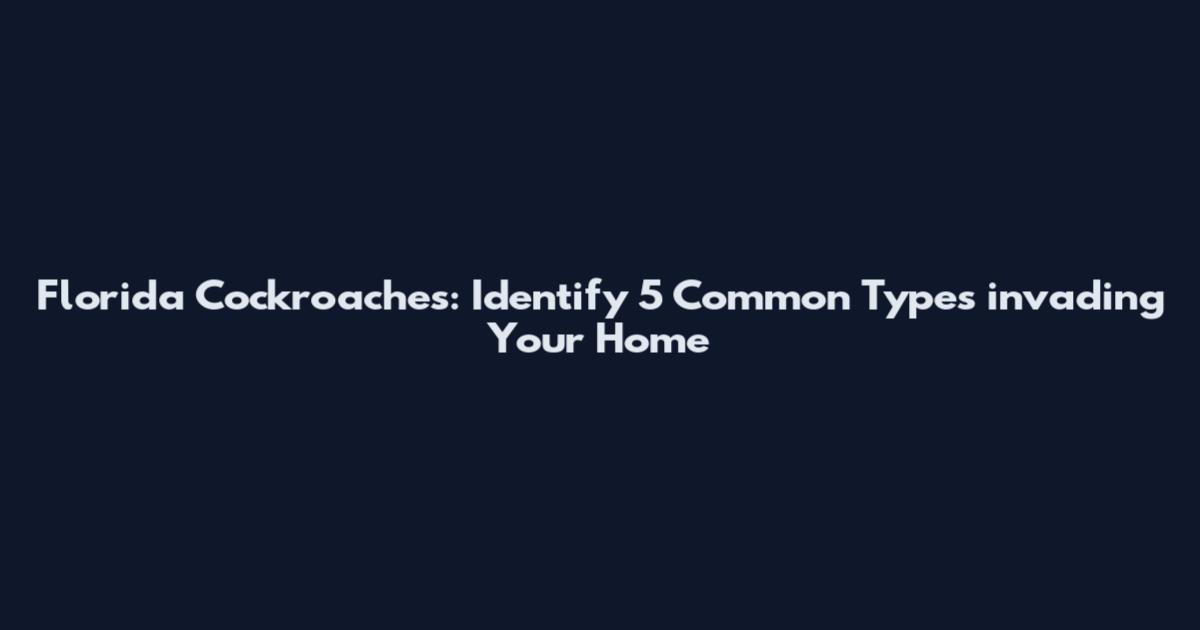Florida Cockroaches: Identify 5 Common Types invading Your Home