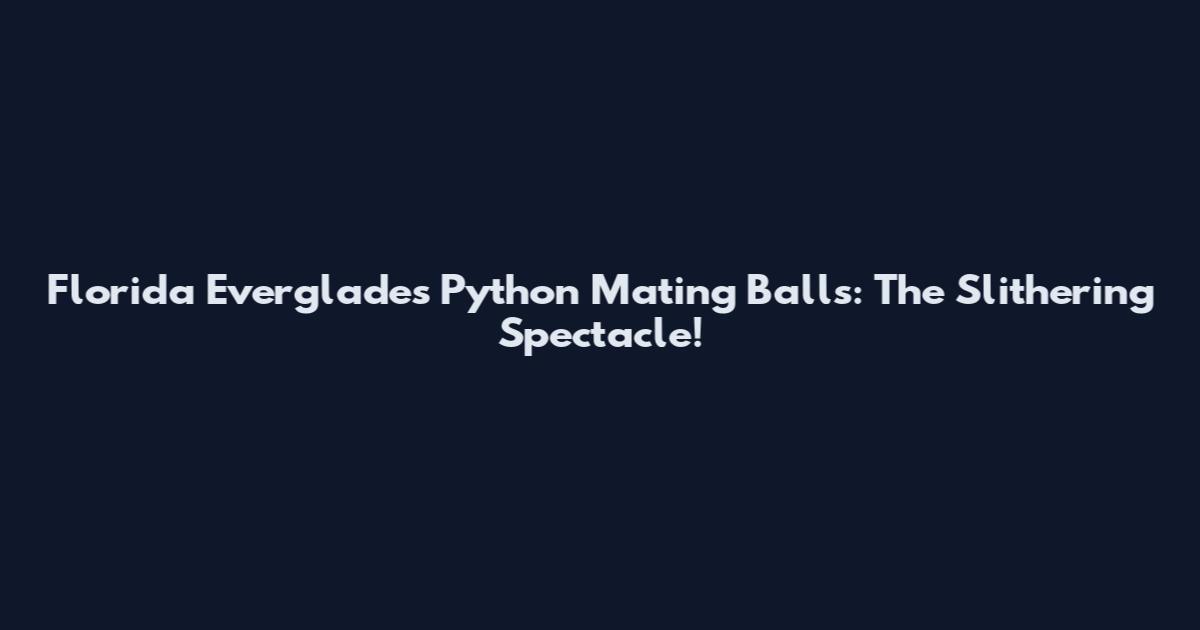 Florida Everglades Python Mating Balls: The Slithering Spectacle!