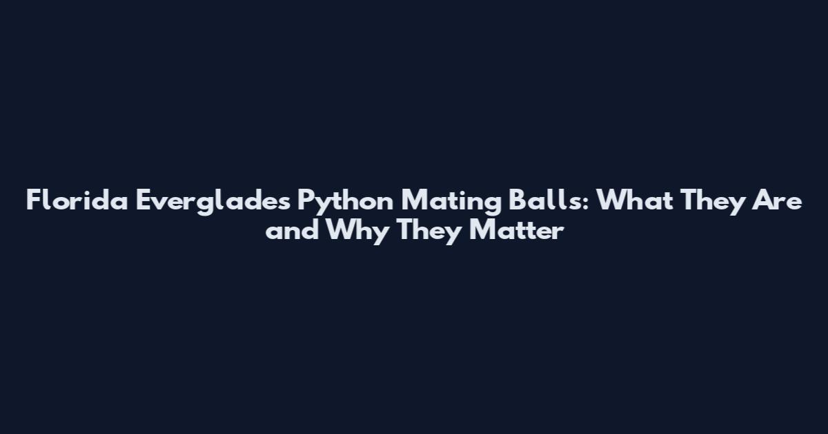 Florida Everglades Python Mating Balls: What They Are and Why They Matter