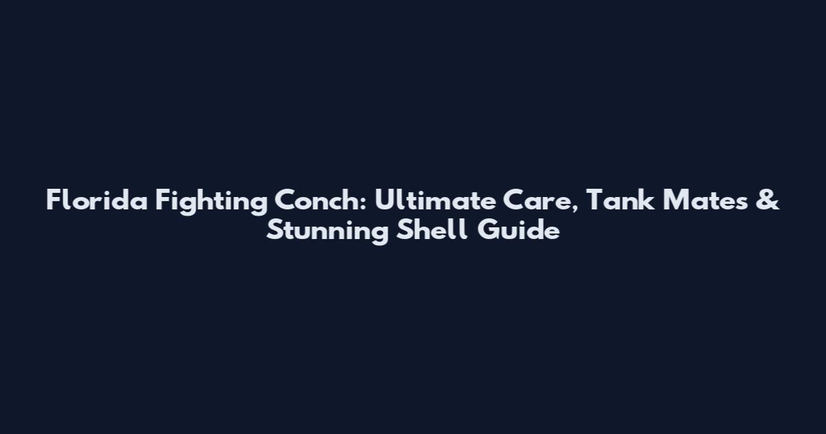 Florida Fighting Conch: Ultimate Care, Tank Mates & Stunning Shell Guide