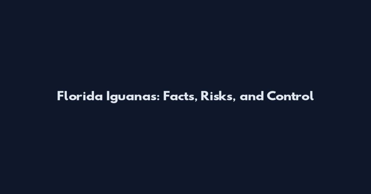 Florida Iguanas: Facts, Risks, and Control