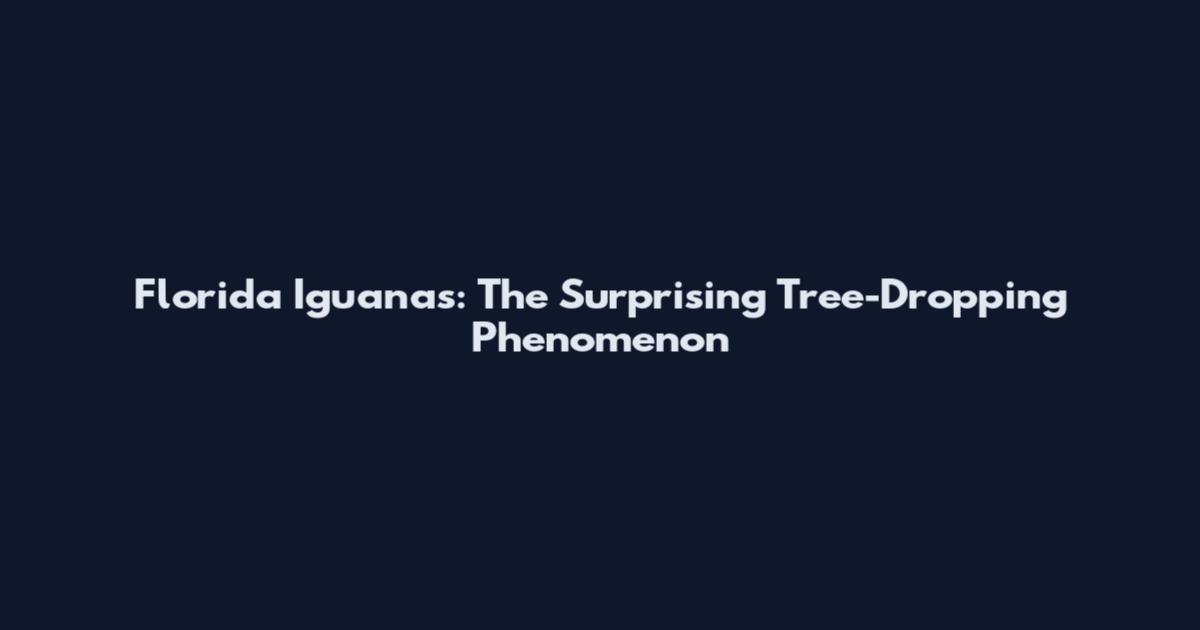 Florida Iguanas: The Surprising Tree-Dropping Phenomenon
