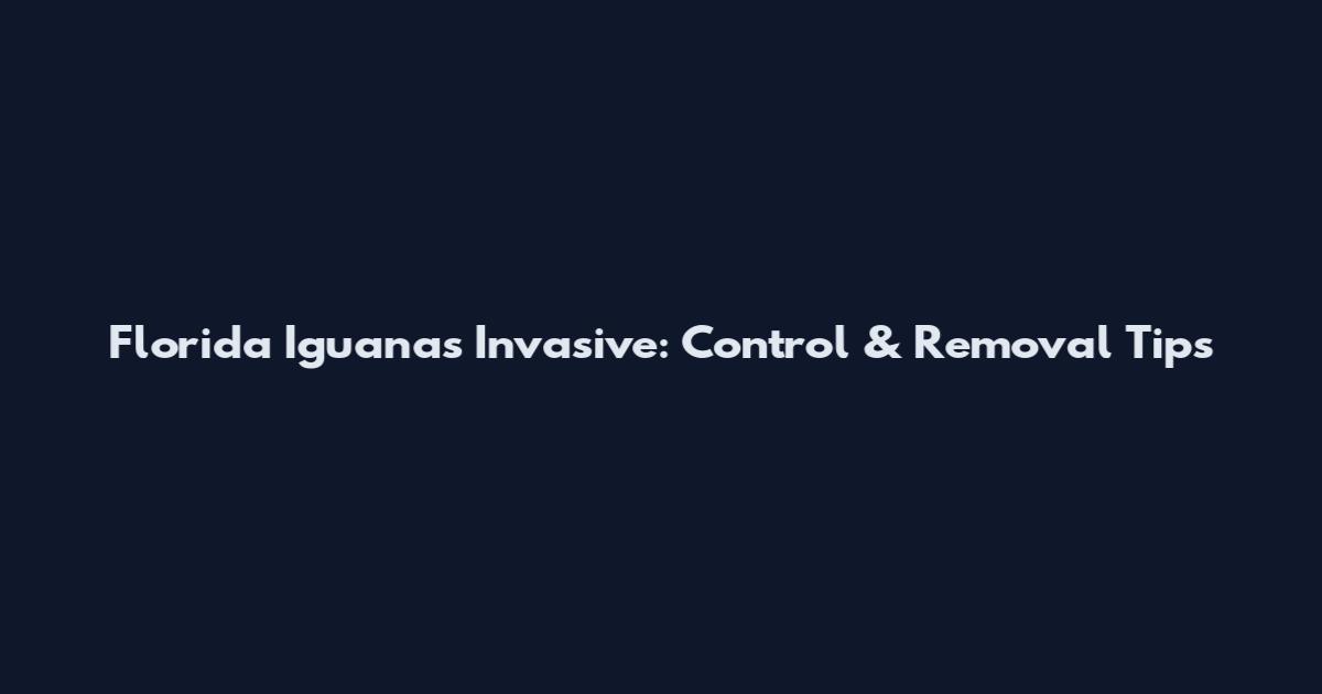 Florida Iguanas Invasive: Control & Removal Tips