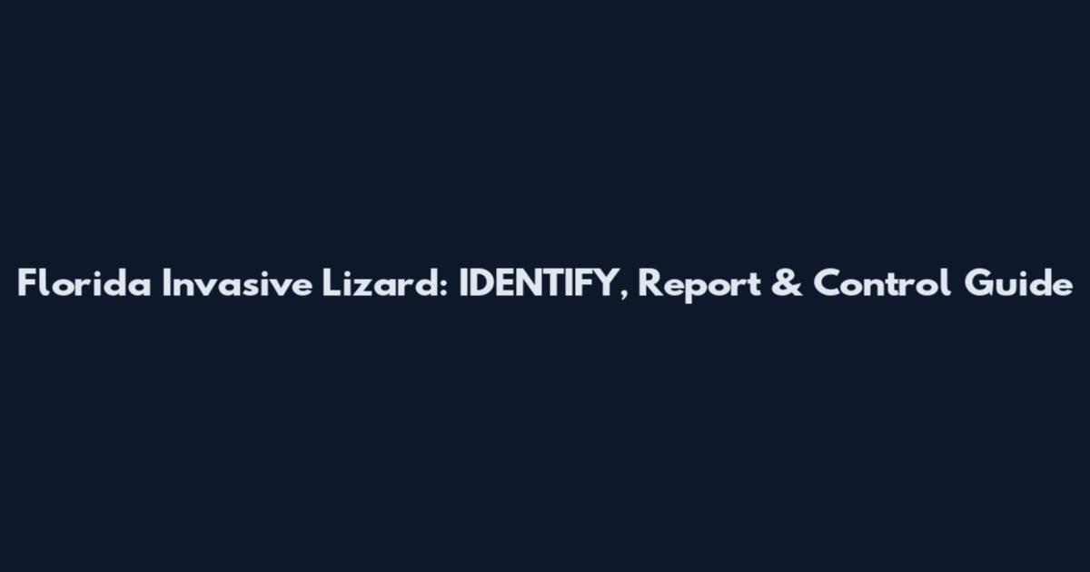 Florida Invasive Lizard: IDENTIFY, Report & Control Guide