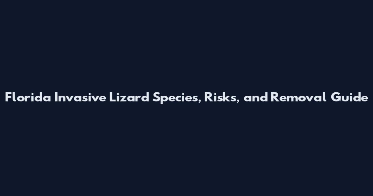 Florida Invasive Lizard Species, Risks, and Removal Guide