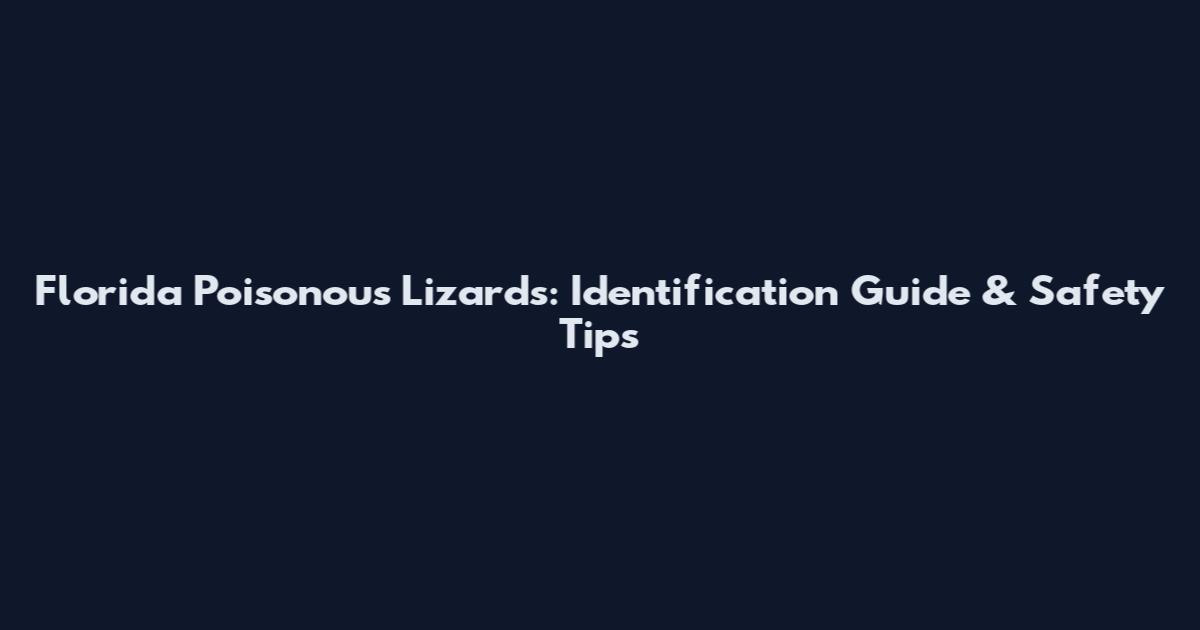 Florida Poisonous Lizards: Identification Guide & Safety Tips