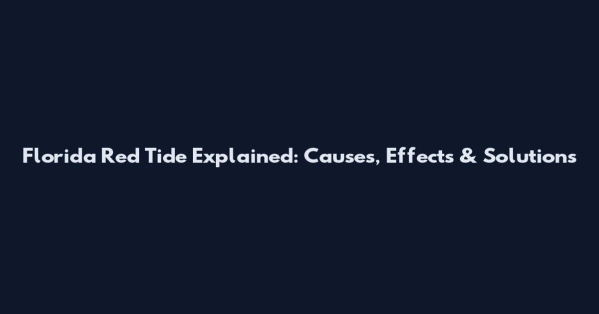 Florida Red Tide Explained: Causes, Effects & Solutions