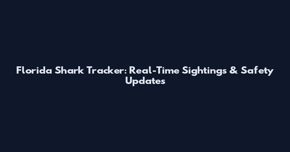 Florida Shark Tracker: Real-Time Sightings & Safety Updates