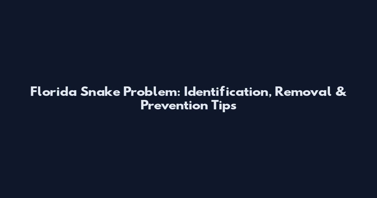 Florida Snake Problem: Identification, Removal & Prevention Tips