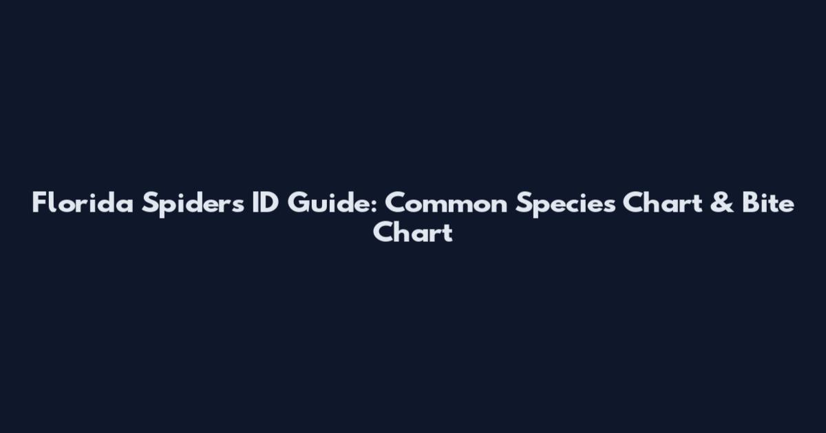 Florida Spiders ID Guide: Common Species Chart & Bite Chart
